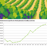 El incremento de superficie de viñedo en Castilla y León, en datos