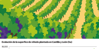 El incremento de superficie de viñedo en Castilla y León, en datos