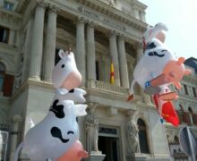 Marcha blanca 12. Madrid