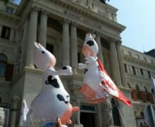 Marcha blanca 12. Madrid