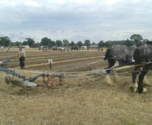64 Campeonato Mundial de Arada 2016, York (Inglaterra)