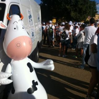 Marcha blanca 03. Ceinos de Campos - Medina de Rioseco Marcha blanca 03. Ceinos de Campos - Medina de Rioseco