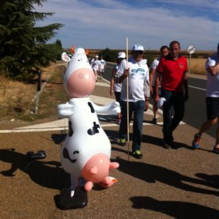 Marcha blanca 03. Ceinos de Campos - Medina de Rioseco Marcha blanca 03. Ceinos de Campos - Medina de Rioseco