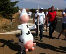 Marcha blanca 03. Ceinos de Campos - Medina de Rioseco