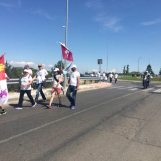 Marcha blanca 11. Galapagar - Las Rozas Marcha blanca 11. Galapagar - Las Rozas