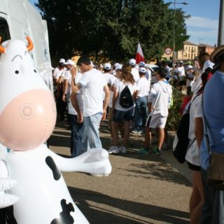 Marcha blanca 03. Ceinos de Campos - Medina de Rioseco Marcha blanca 03. Ceinos de Campos - Medina de Rioseco