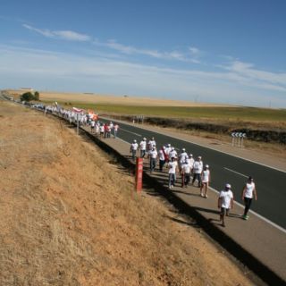Marcha blanca 03. Ceinos de Campos - Medina de Rioseco Marcha blanca 03. Ceinos de Campos - Medina de Rioseco
