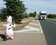 Marcha blanca 03. Ceinos de Campos - Medina de Rioseco