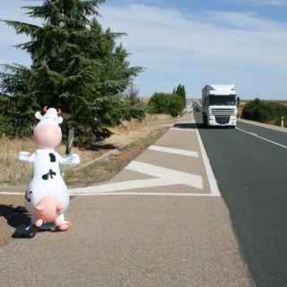 Marcha blanca 03. Ceinos de Campos - Medina de Rioseco Marcha blanca 03. Ceinos de Campos - Medina de Rioseco