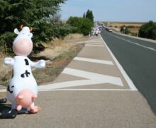 Marcha blanca 03. Ceinos de Campos - Medina de Rioseco