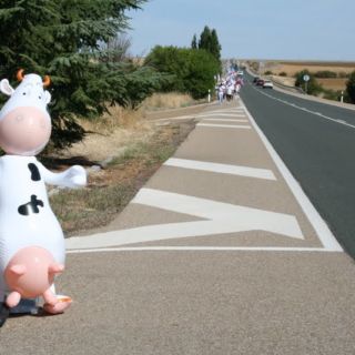 Marcha blanca 03. Ceinos de Campos - Medina de Rioseco Marcha blanca 03. Ceinos de Campos - Medina de Rioseco