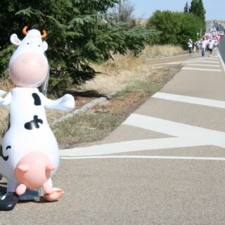 Marcha blanca 03. Ceinos de Campos - Medina de Rioseco Marcha blanca 03. Ceinos de Campos - Medina de Rioseco
