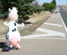 Marcha blanca 03. Ceinos de Campos - Medina de Rioseco
