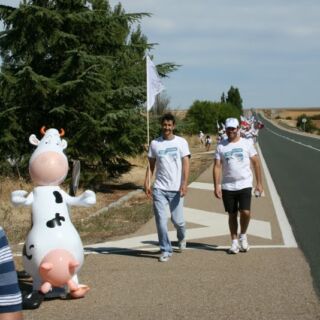Marcha blanca 03. Ceinos de Campos - Medina de Rioseco Marcha blanca 03. Ceinos de Campos - Medina de Rioseco
