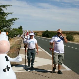 Marcha blanca 03. Ceinos de Campos - Medina de Rioseco Marcha blanca 03. Ceinos de Campos - Medina de Rioseco