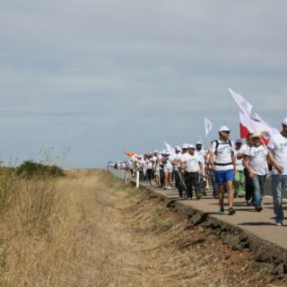 Marcha blanca 03. Ceinos de Campos - Medina de Rioseco Marcha blanca 03. Ceinos de Campos - Medina de Rioseco