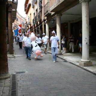 Marcha blanca 03. Ceinos de Campos - Medina de Rioseco Marcha blanca 03. Ceinos de Campos - Medina de Rioseco