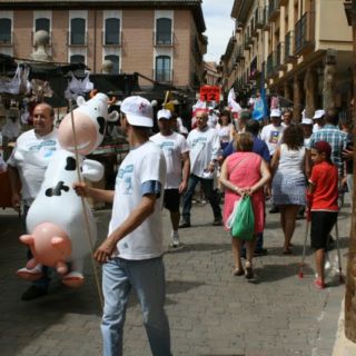 Marcha blanca 03. Ceinos de Campos - Medina de Rioseco Marcha blanca 03. Ceinos de Campos - Medina de Rioseco
