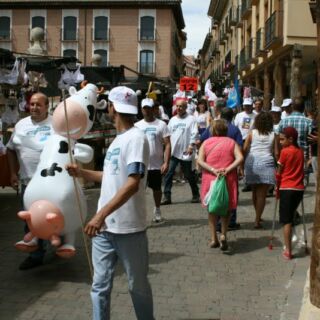 Marcha blanca 03. Ceinos de Campos - Medina de Rioseco Marcha blanca 03. Ceinos de Campos - Medina de Rioseco