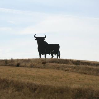 Marcha blanca 09. Sanchidrián - Villacastín Marcha blanca 09. Sanchidrián - Villacastín