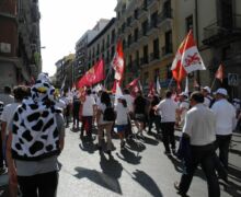 Marcha blanca 12. Madrid