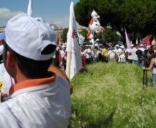 Marcha blanca 12. Madrid
