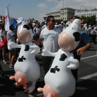 Marcha blanca 12. Madrid Marcha blanca 12. Madrid