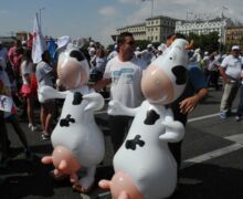 Marcha blanca 12. Madrid