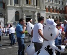 Marcha blanca 12. Madrid