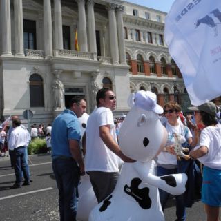 Marcha blanca 12. Madrid Marcha blanca 12. Madrid