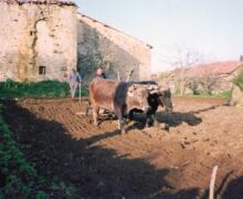 Segunda categoría (de 15 a 17 años)
Premio
Lidia Gómez Sainz, de 17 años, de Burgos Premio Lidia Gómez Sainz