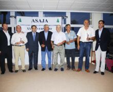 XX Aniversario Zamora