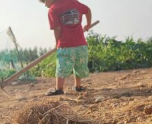 Accésit: Miguel Fernanz, de 13 años, de Fuentepelayo, Segovia