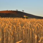 Concurso fotografía juvenil 2012