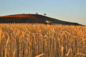Concurso fotografía juvenil 2012