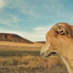 Concurso fotografía juvenil 2012