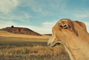 Concurso fotografía juvenil 2012