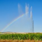 Concurso fotografía juvenil 2012