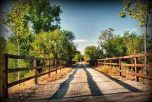 Concurso fotografía juvenil 2012