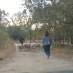 Concurso fotografía juvenil 2012