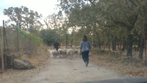 Concurso fotografía juvenil 2012