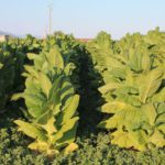 Concurso fotografía juvenil 2012