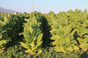 Concurso fotografía juvenil 2012