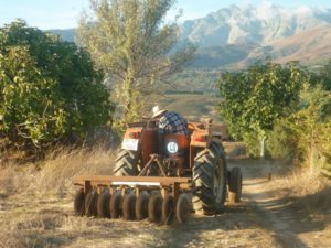 Concurso fotografía juvenil 2012