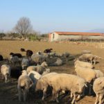 Concurso fotografía juvenil 2012