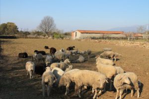 Concurso fotografía juvenil 2012