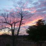 Concurso fotografía juvenil 2012