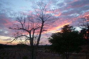 Concurso fotografía juvenil 2012