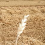 Concurso fotografía juvenil 2012