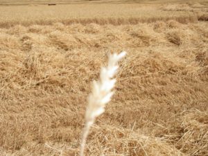 Concurso fotografía juvenil 2012